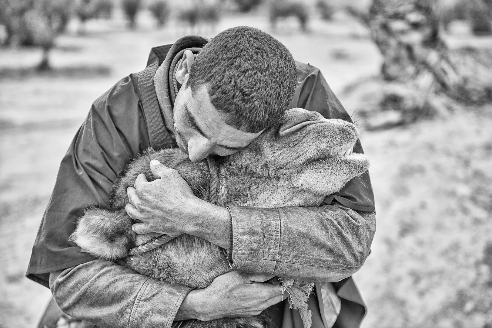 Travel photography by Andrejs Zavadskis - Photo 56