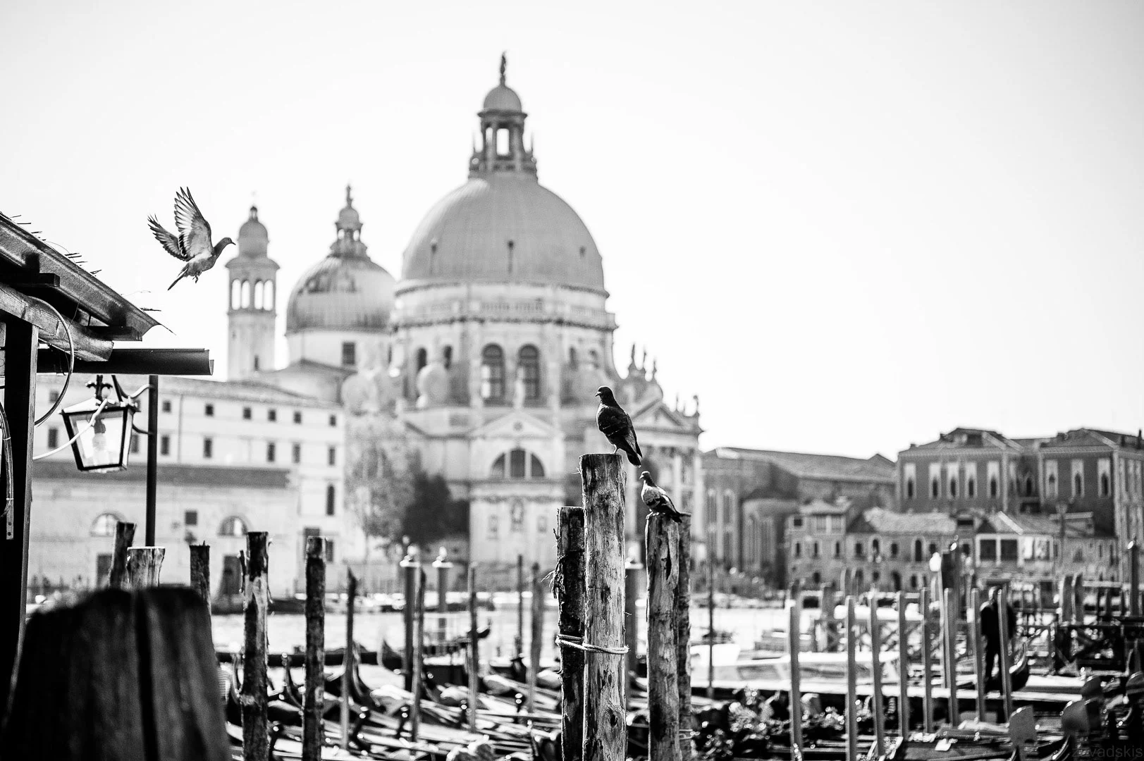 Travel photography by Andrejs Zavadskis - Photo 85