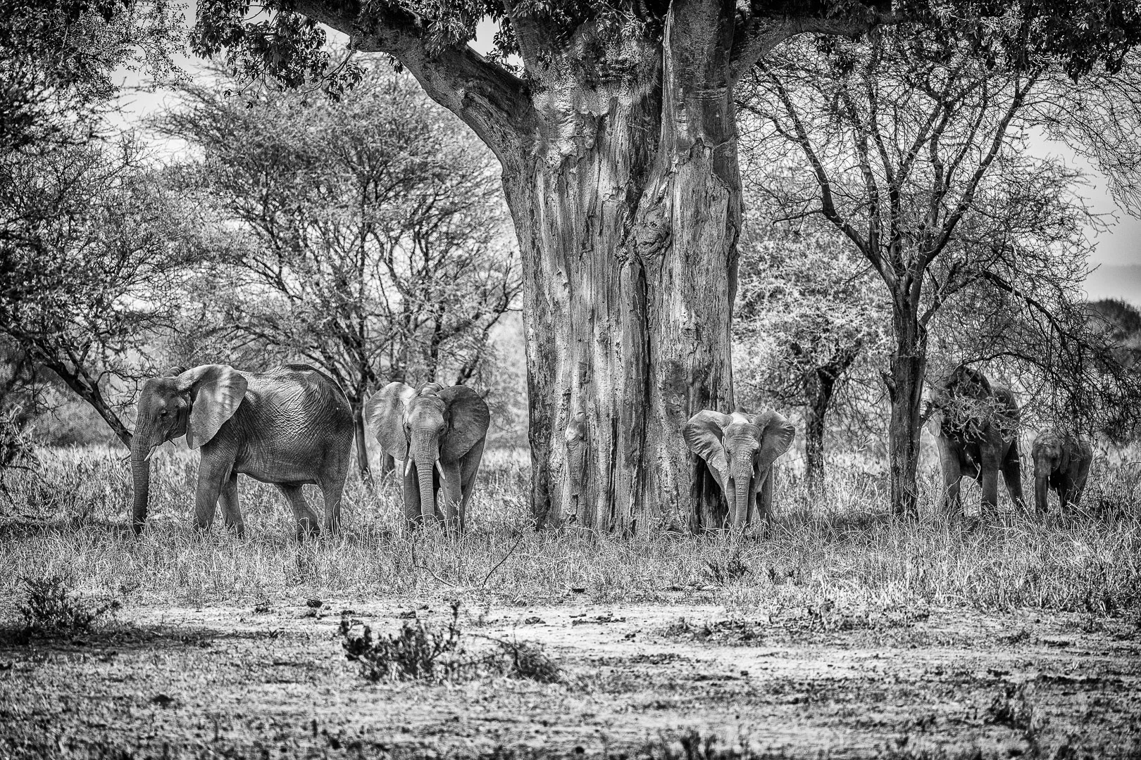 Travel photography by Andrejs Zavadskis - Photo 104