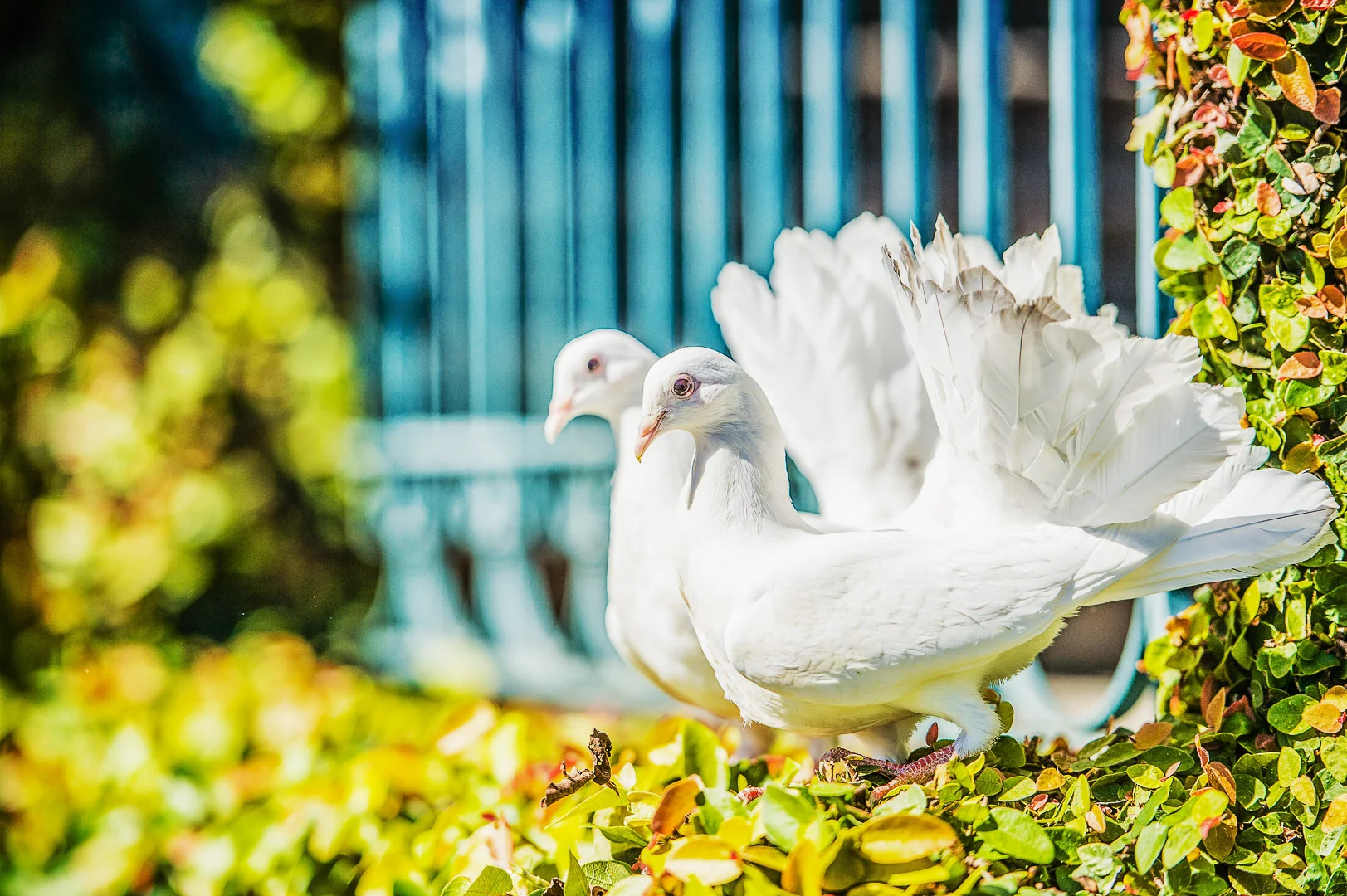 Wedding photography by Andrejs Zavadskis - Photo 48