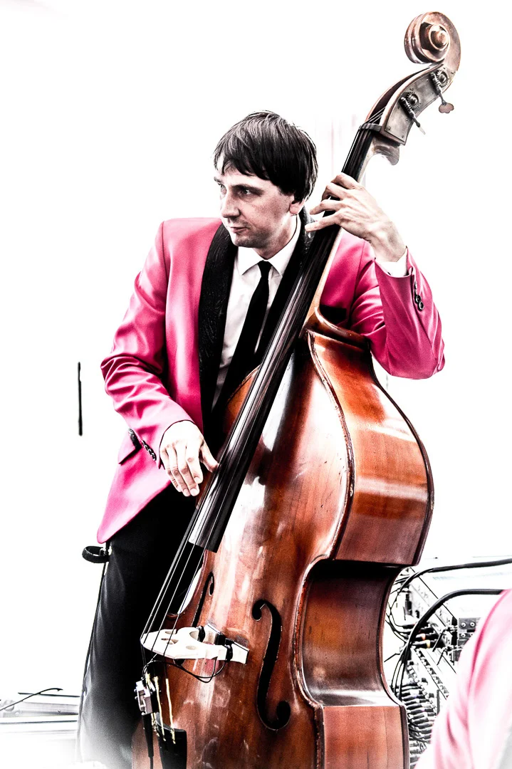 Musician on Stage, Concert Photography, Performance Detail – Concert Photography
